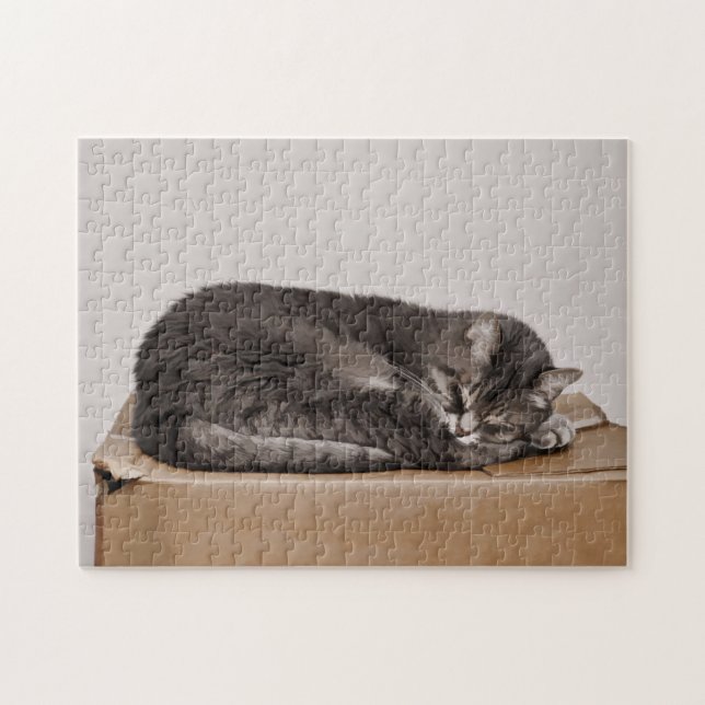 Cute Grey Tabby Cat Sleeping On Box Jigsaw Puzzle (Horizontal)