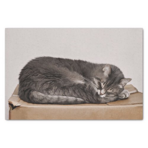 Cute Grey Tabby Cat Sleeping On Box Tissue Paper