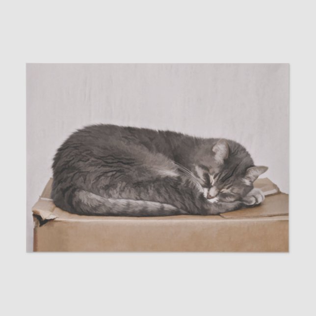 Cute Grey Tabby Cat Sleeping On Box Tissue Paper (Front)