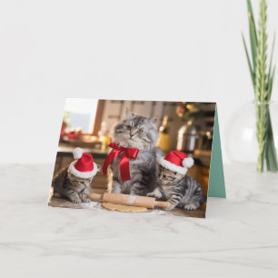 Cute Grey Tabby Christmas Cookies Card