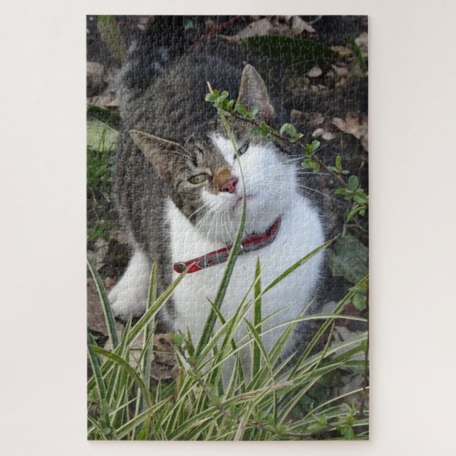 Cute Grey White Cat Puzzle (Vertical)