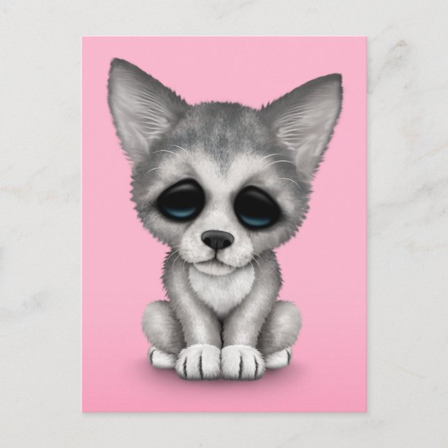 Cute Grey Wolf Cub Puppy on Pink Postcard (Front)