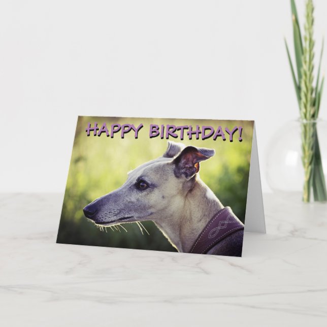 Cute greyhound customized greetings card (Front)