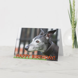 Cute greyhound greetings card