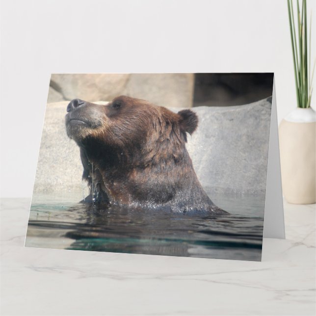 Cute Grizzly Bear Playing in the water Card (Front)