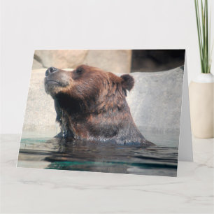 Cute Grizzly Bear Playing in the water Card