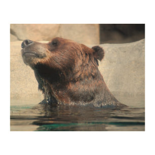 Cute Grizzly Bear Playing in the Water Wood Wall Art