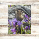 Cute Ground Squirrel and Wildflowers Nature Jigsaw Puzzle<br><div class="desc">Animal themed jigsaw puzzle that features the photo image of a Golden Mantled Ground Squirrel munching on purple wildflowers. Fun for the whole family! NOTE: Image is designed for puzzles up to 20 x 20 inches.</div>