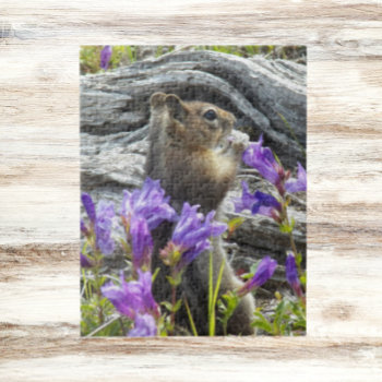 Cute Ground Squirrel And Wildflowers Nature Jigsaw Puzzle by northwestphotos at Zazzle