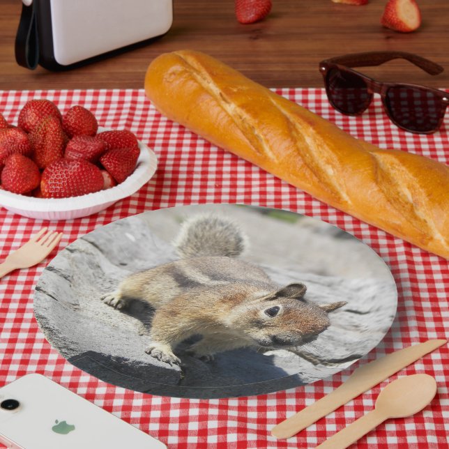 Cute Ground Squirrel Nature Photo Paper Plates (Picnic)