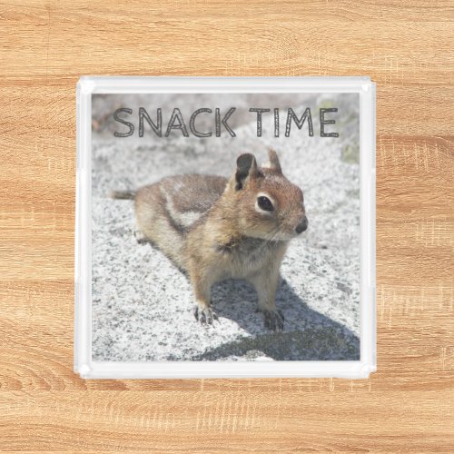Cute Ground Squirrel Nature Photo Snack Time Acrylic Tray