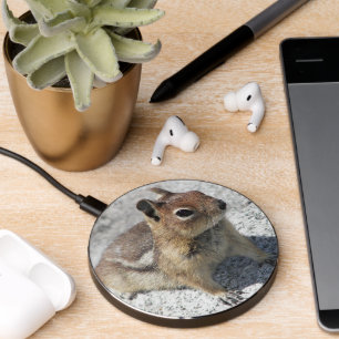 Cute Ground Squirrel Wildlife Photo Wireless Charger