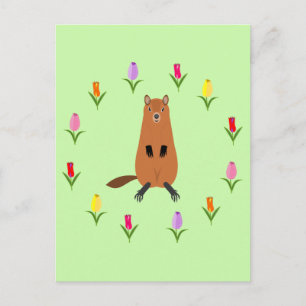 Cute Groundhog and Tulip Flowers Postcard
