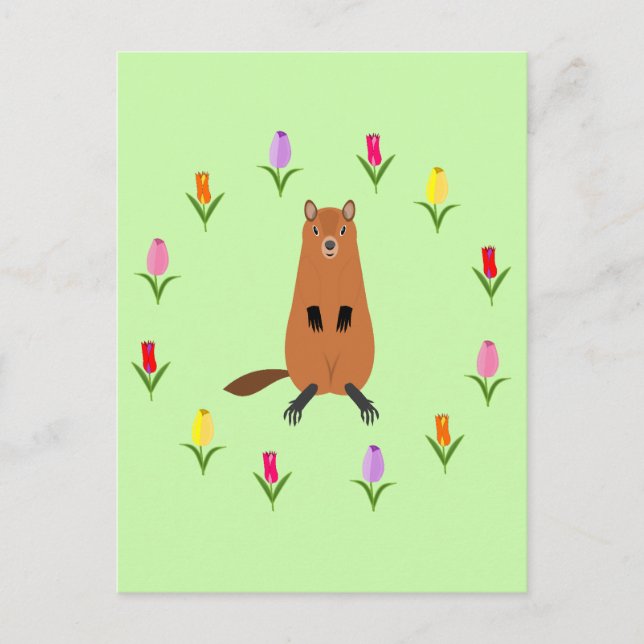 Cute Groundhog and Tulip Flowers Postcard (Front)
