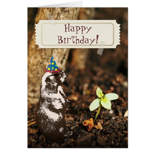 Cute Otter Wildlife Image Happy Birthday Card | Zazzle.com