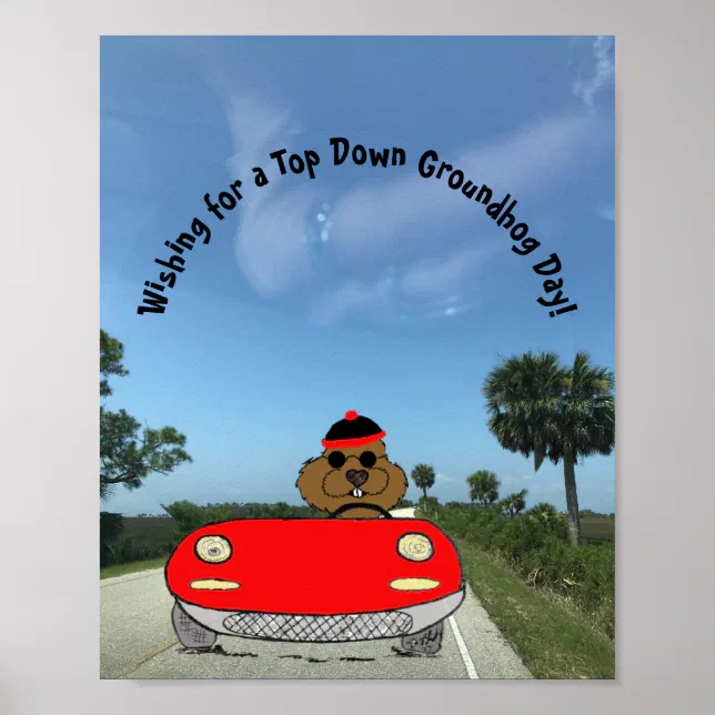 Cute Groundhog in Convertible Poster Zazzle