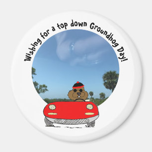 Cute Groundhog in Red Convertible Magnet