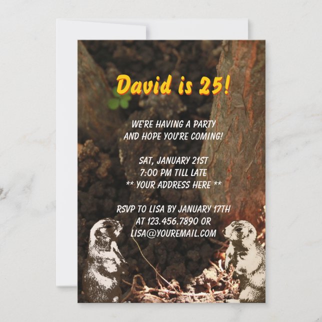 Cute Groundhogs Birthday Party Invitation (Front)