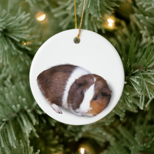 Cute Guinea Pig Cavy Ceramic Ornament