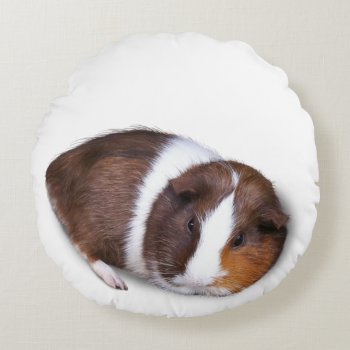 Cute Guinea Pig Cavy Round Pillow by fotoplus at Zazzle