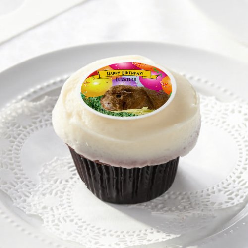 Cute Guinea Pig Children Birthday Party Balloons Edible Frosting Rounds