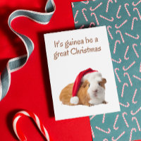 Cute Guinea pig Christmas