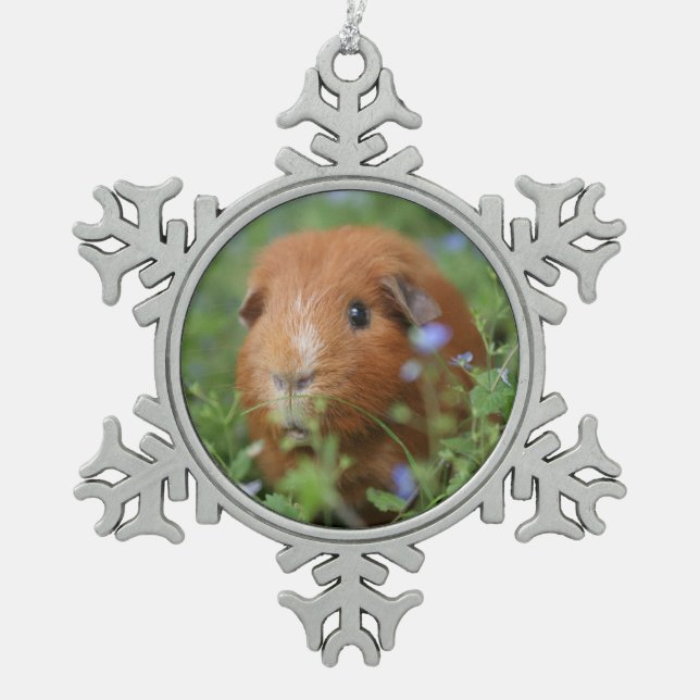 Cute Guinea pig christmas ornament pet cavy cavies (Front)