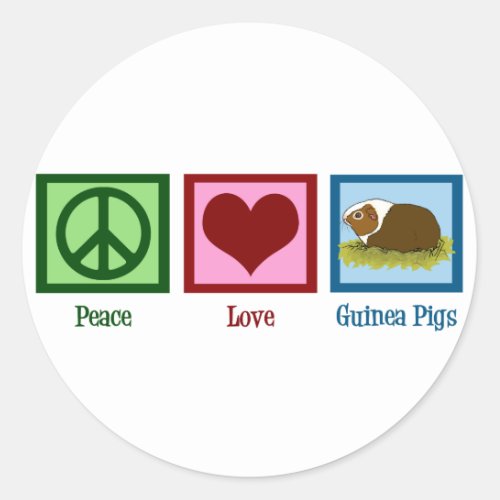 Cute Guinea Pig Classic Round Sticker