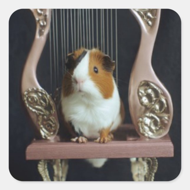 Cute Guinea Pig Harp Sticker (Front)