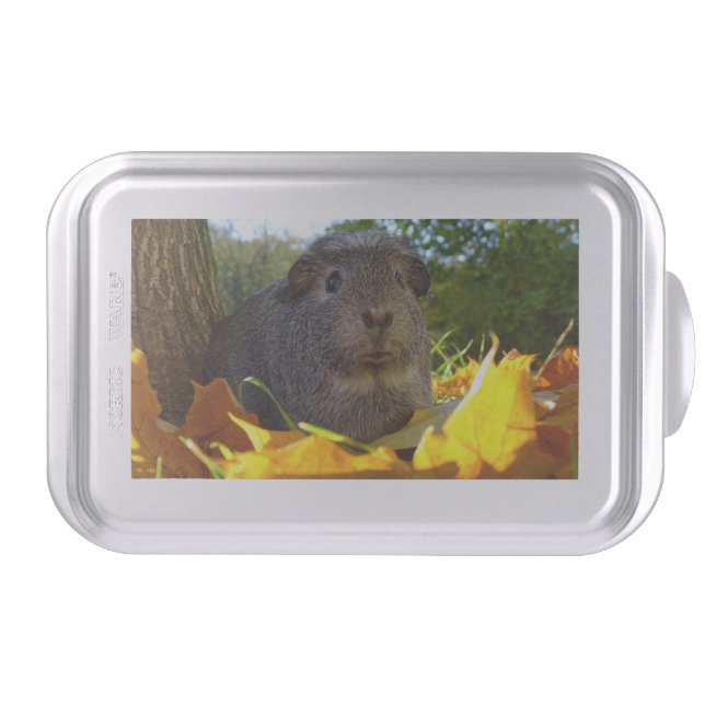 Cute Guinea Pig in Nature Cake Pan (Front)