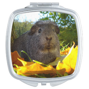 Cute Guinea Pig in Nature Compact Mirror
