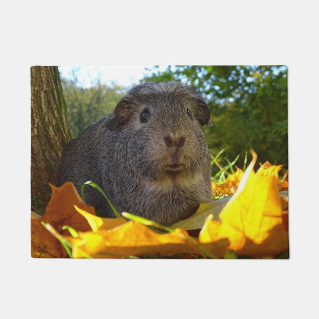 Cute Guinea Pig in Nature Doormat (Front)
