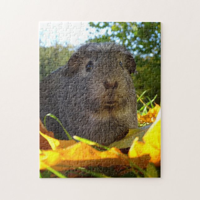 Cute Guinea Pig in Nature Jigsaw Puzzle (Vertical)