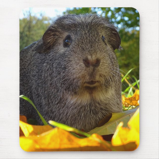 Cute Guinea Pig in Nature Mouse Pad (Front)