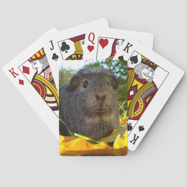 Cute Guinea Pig in Nature Poker Cards (Back)