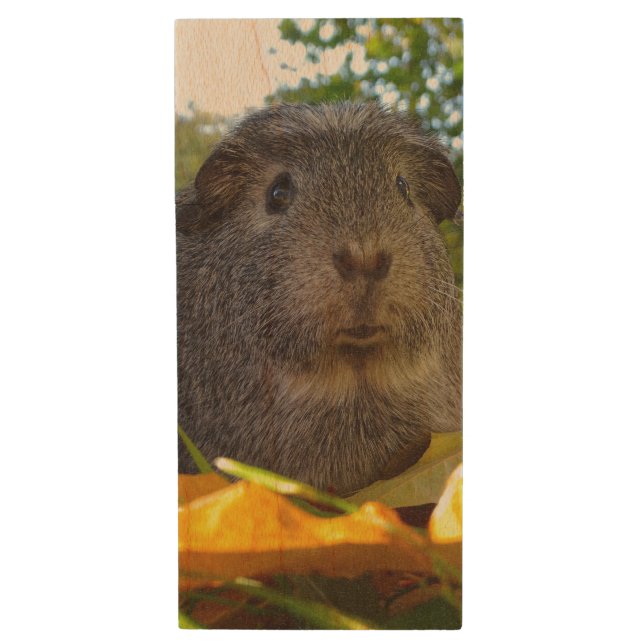 Cute Guinea Pig in Nature Wood USB Flash Drive (Front Vertical)