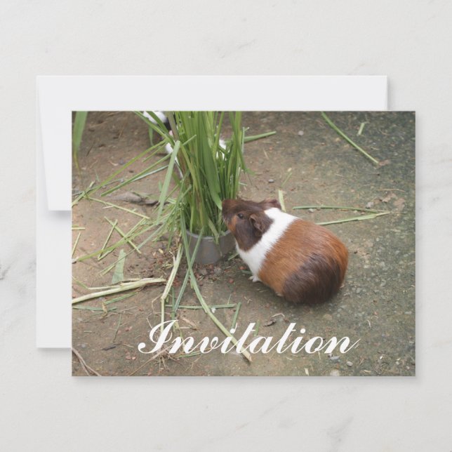 Cute Guinea Pig Invitation (Front)