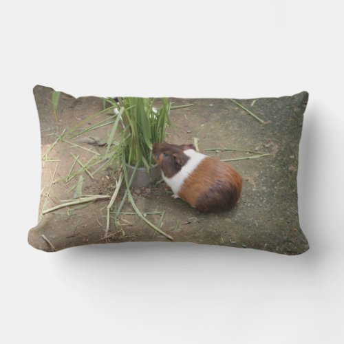 Cute Guinea Pig Lumbar Pillow