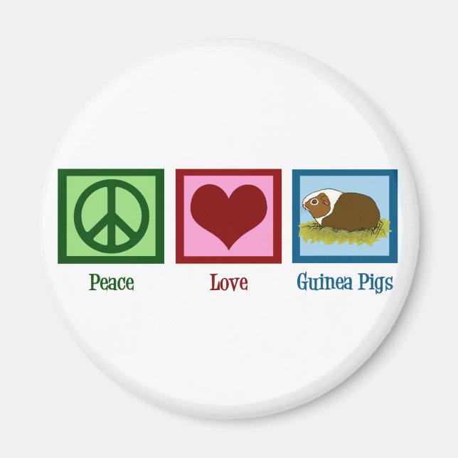 Cute Guinea Pig Magnet (Front)