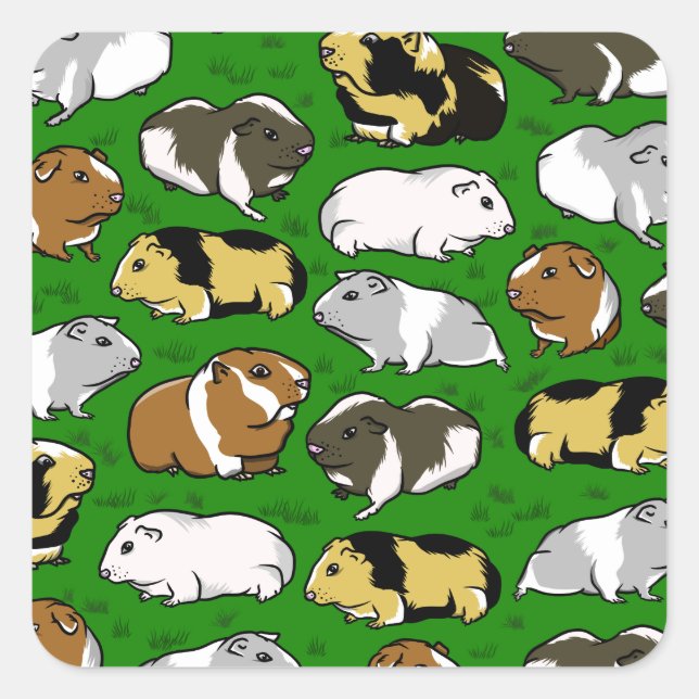 Cute guinea pig pattern square sticker (Front)