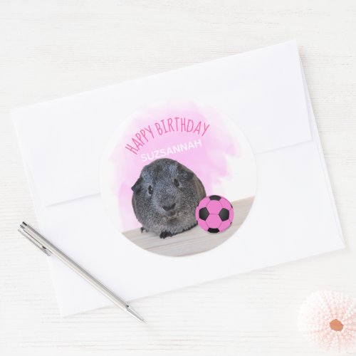 Cute Guinea Pig Pink Soccer Ball Birthday Custom Classic Round Sticker