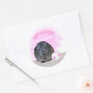 Cute Guinea Pig Pink Soccer Ball Custom Birthday Classic Round Sticker