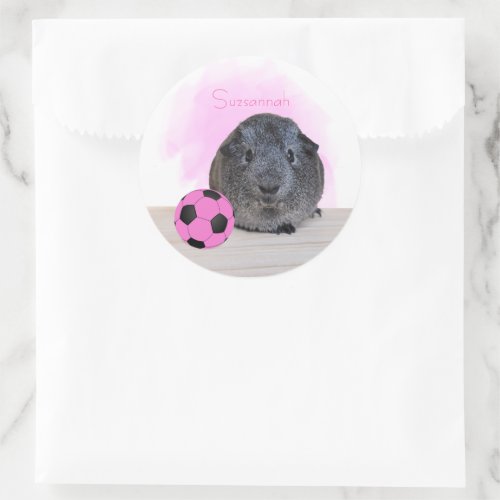 Cute Guinea Pig Pink Soccer Ball Custom Name Classic Round Sticker