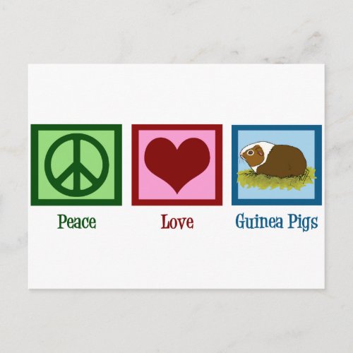 Cute Guinea Pig Postcard