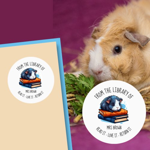 Cute Guinea Pig Reading Books Sticker | Book Lover