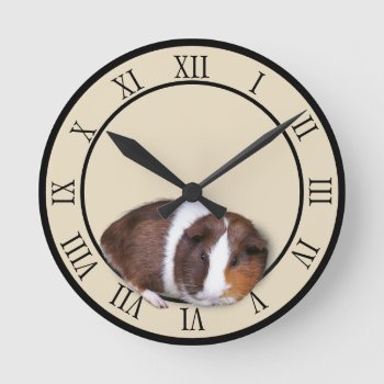 Cute Guinea Pig Round Clock by fotoplus at Zazzle