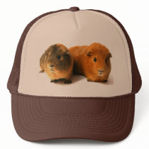 cute guinea pig trucker hat