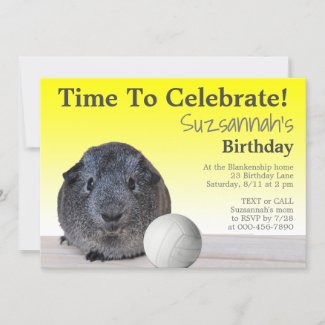 Cute Guinea Pig Volleyball Custom Birthday Party  