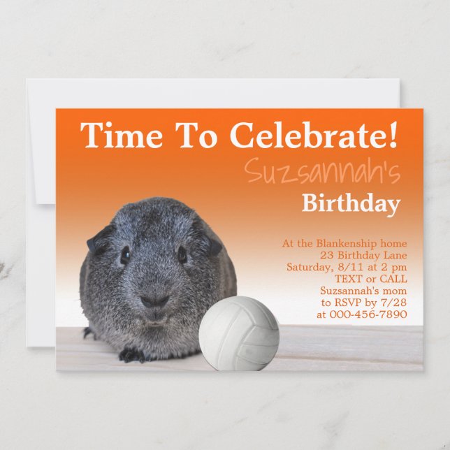 Cute Guinea Pig Volleyball Custom Birthday Party   Invitation (Front)