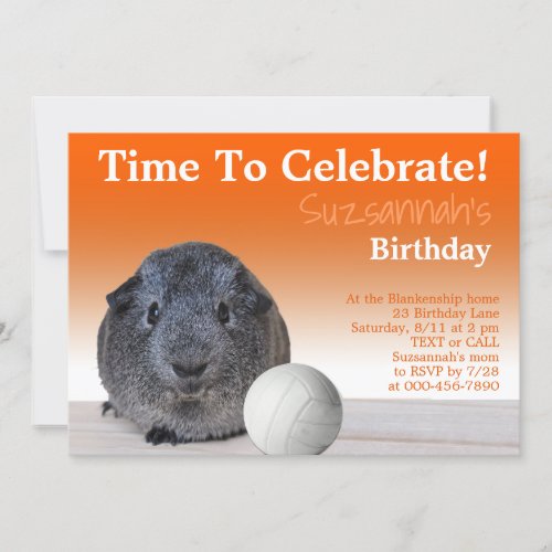 Cute Guinea Pig Volleyball Custom Birthday Party   Invitation